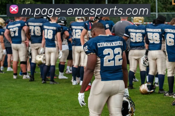 易倍体育发展历程