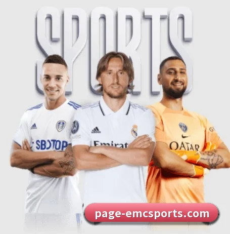 五大服务分区,信息按项目分类(EMCSPORTS)
